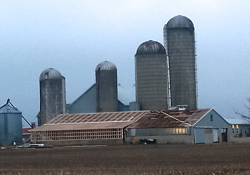 Durabuild Construction agriculture project